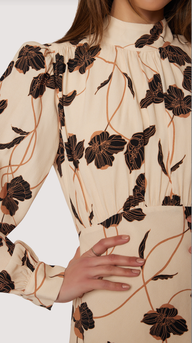 ECHOS OF ROMANCE DRESS
