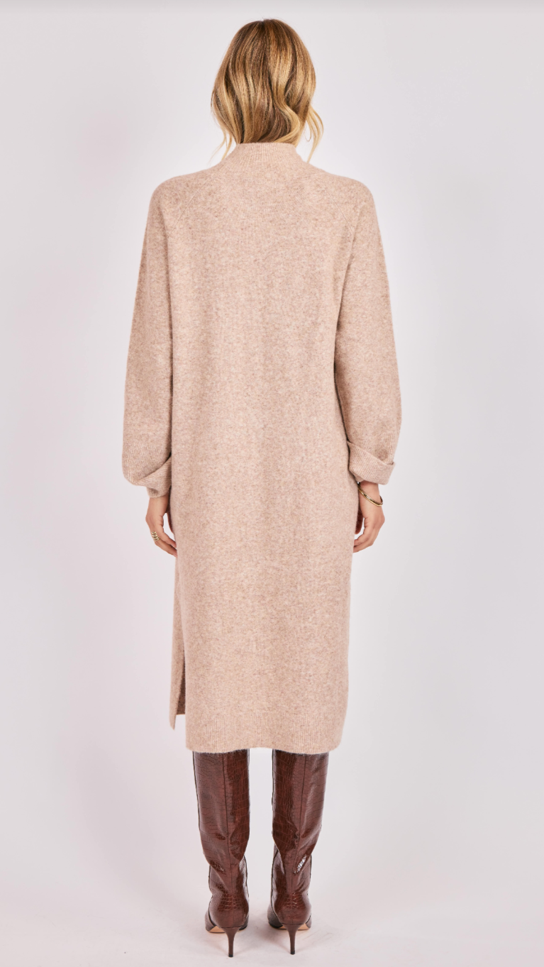 HADLEY TURTLENECK DRESS