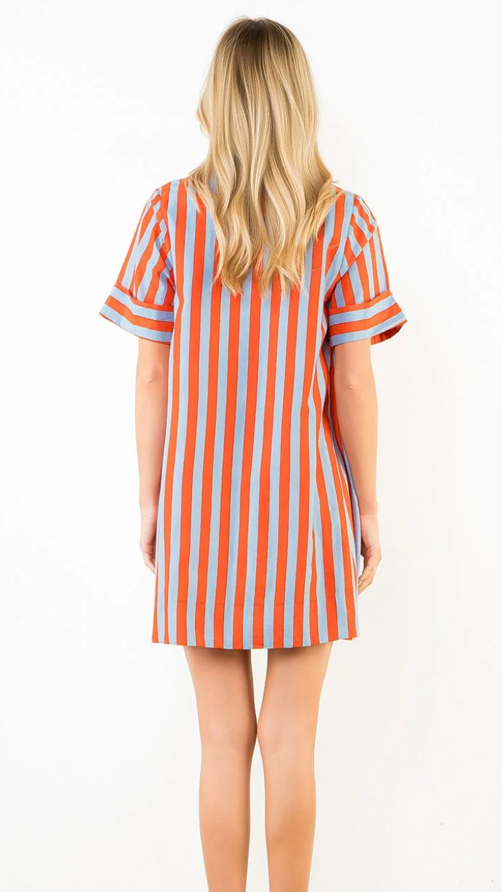 HADLEY STRIPE BUTTON DOWN DRESS