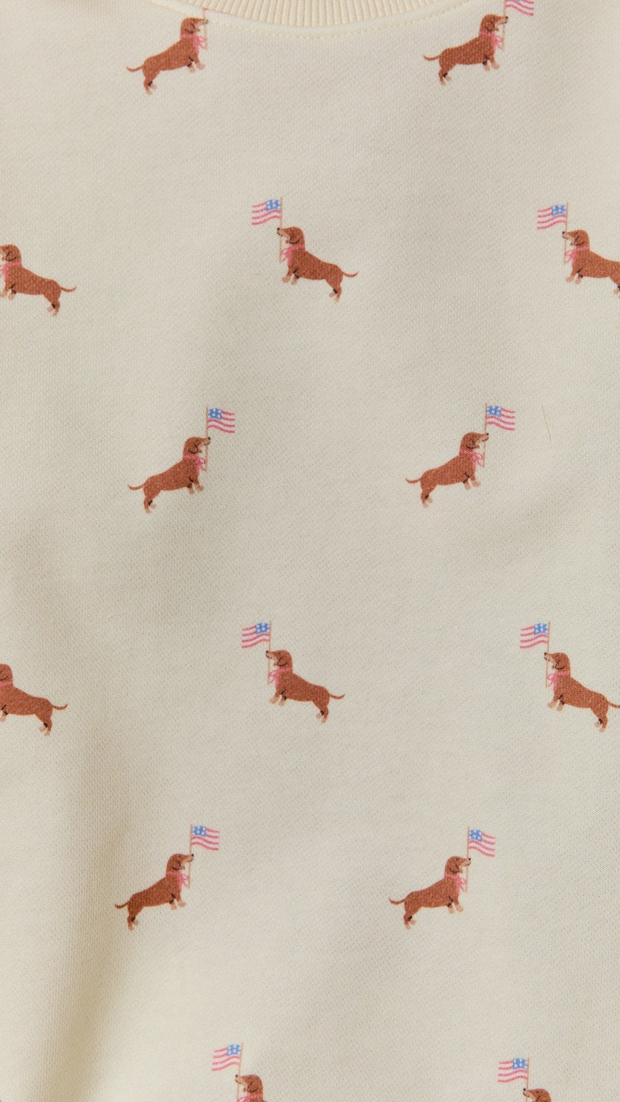 FLAG DOG SHORTS