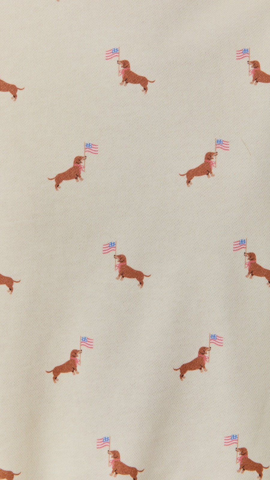 DOG FLAG SWEATSHIRT