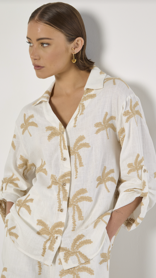 PALM TREES TOP
