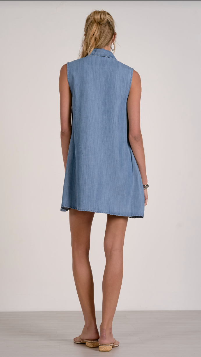FIONA DENIM DRESS